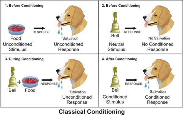 Classical Conditioning in Early Childhood